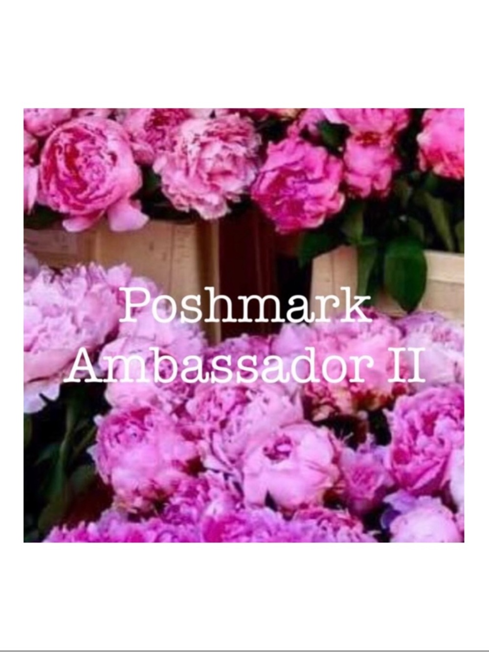 🌺 Meet your Posher, Kiki